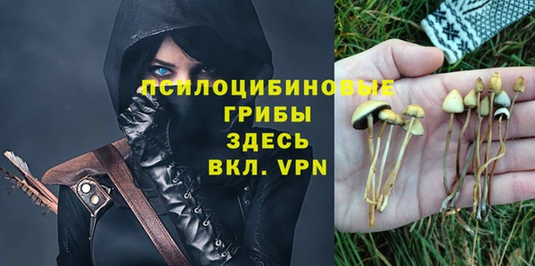 прущий лед Аркадак