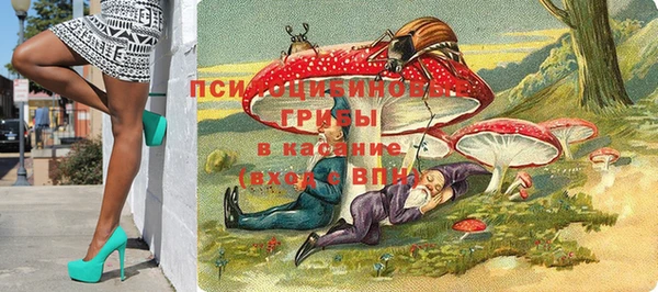 ПСИЛОЦИБИНОВЫЕ ГРИБЫ Армянск